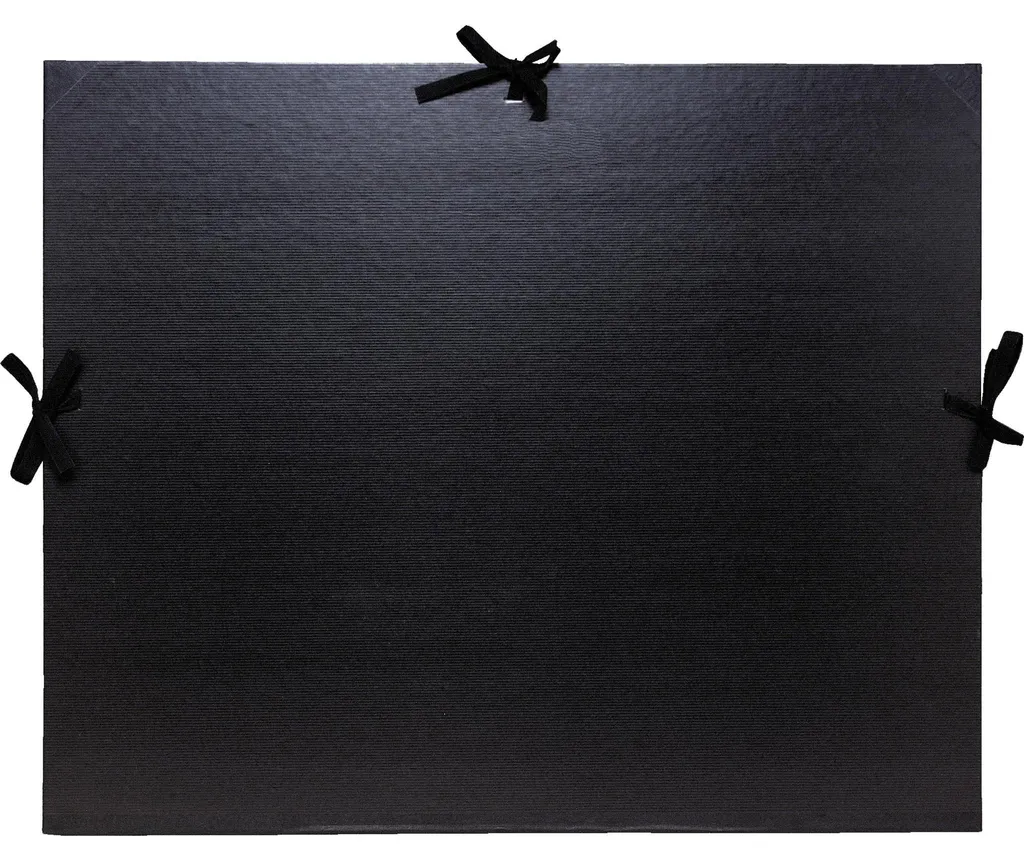 Protégez vos Dessins A3 : Lot 5 Cartons Rigides Exacompta 32x45 cm Noir