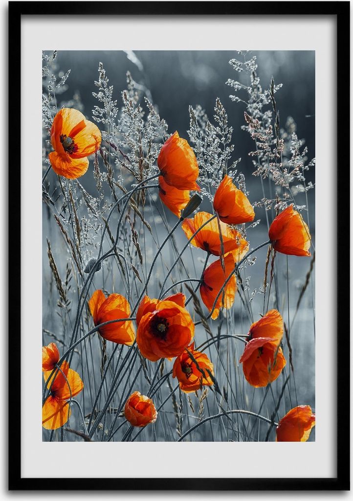 Bild - Bilderrahmen - Foto - 70 cm x 100 cm - MDF - Rahmen - Wandkunst - Feldmohnblumen