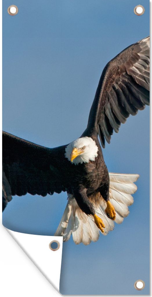 MuchoWow 30x60 cm Outdoor-Poster Gartendeko Sichtschutz Garten Poster für den Garten Ein amerikanischer Weißkopfseeadler am blauen Himmel