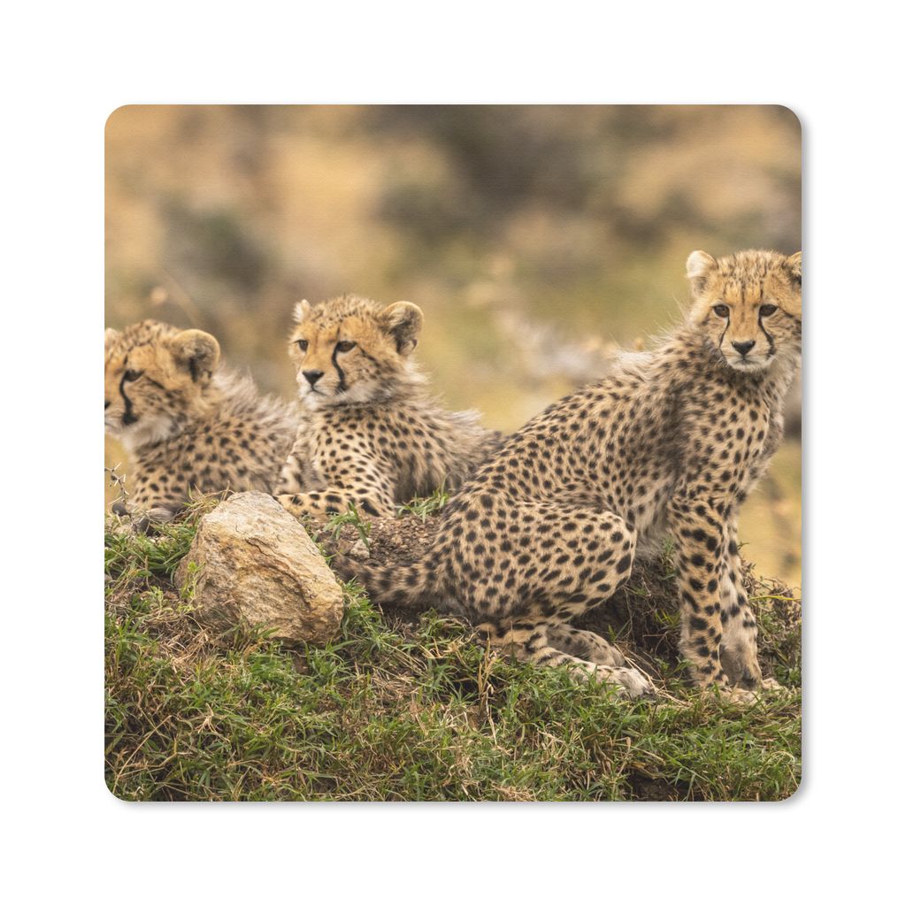 MuchoWow Mauspad Mousepad Leopard - Wald - Tier 20x20 cm - Mousepads - Maus Mat - Pad - Mausunterlage - Desk Mat - Bureauartikeln