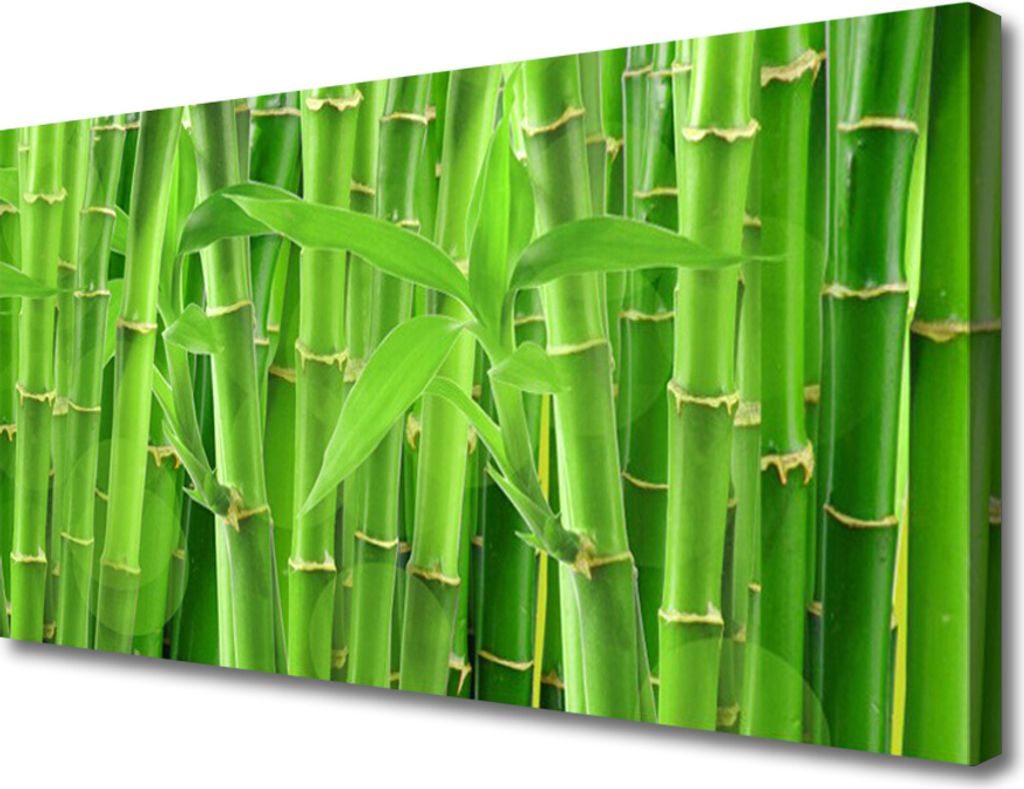 Tulup Leinwand-Bilder 100x50 Wandbild Canvas Kunstdruck Bambusrohre Pflanzen