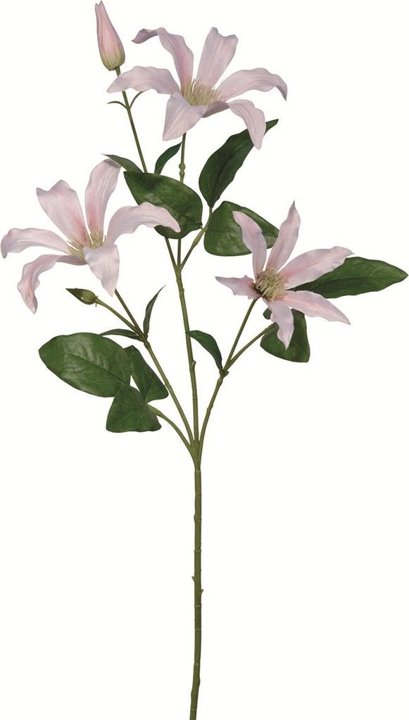 Fink CLEMATIS, Kunstblume, Kunstfasern, weiß, rose, L. 1 cm, B. 10 cm, H. 65 cm Höhe: 65.00 cm Breite: 10.00 cm Tiefe: 0.50cm 181014