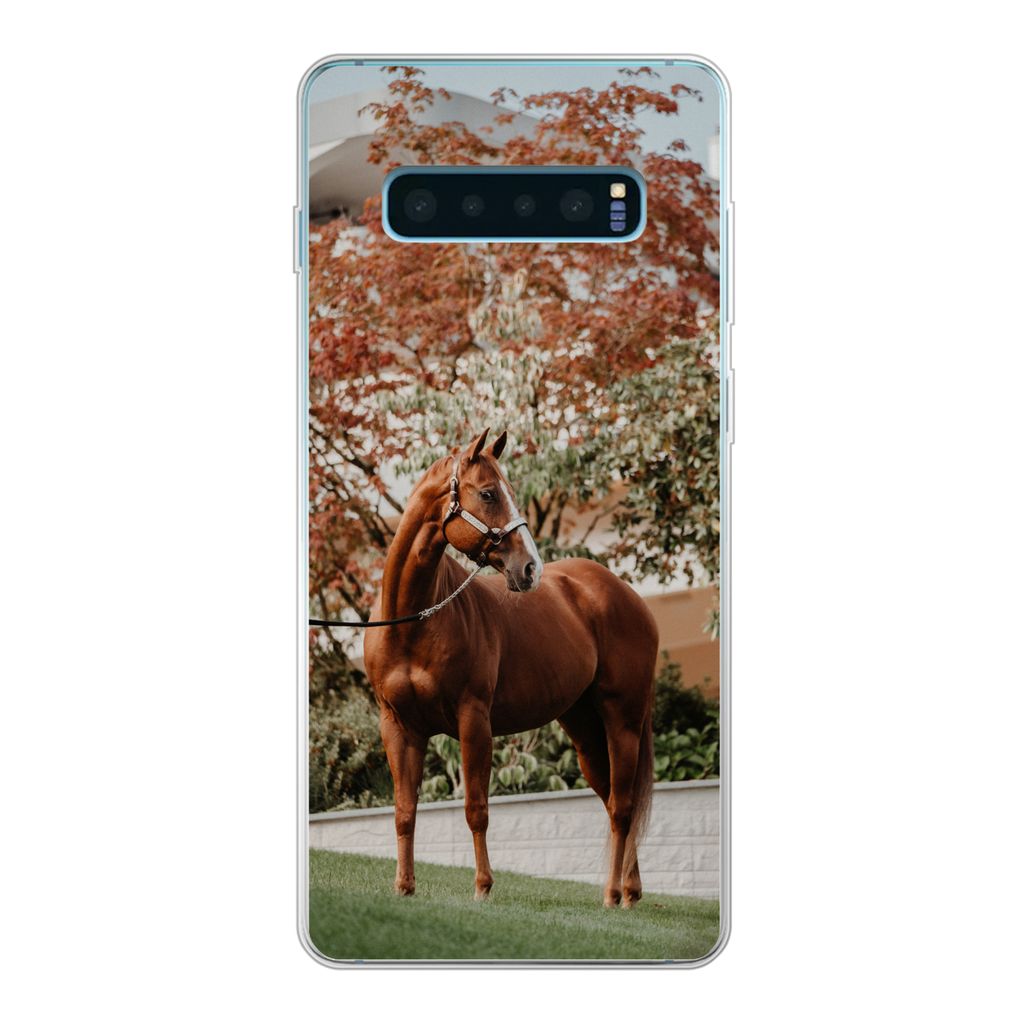 MuchoWow Handyhülle Schutzhülle Hülle für Samsung Galaxy S10 Lite Pferd - Baum - Halfter Silikon Softcase Handy Hülle - Schutz
