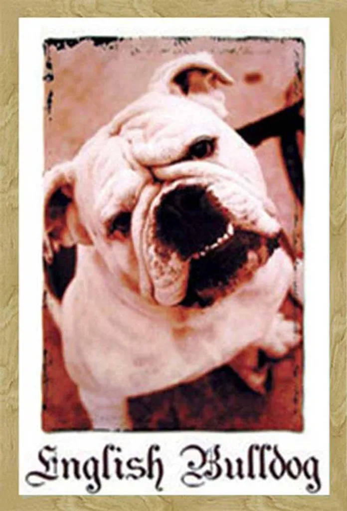 Déco Murale Bulldog Anglais Poster Encadré pour Salon Shinsuke MDF Hêtre