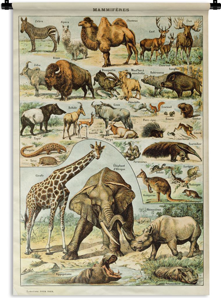 MuchoWow Wandteppich Wandbehang Tiere - Kamel - Giraffe - Jahrgang - Adolphe Millot 120x180 cm Tapisserie Dekoration Wandtuch - Schlafzimmer - De...
