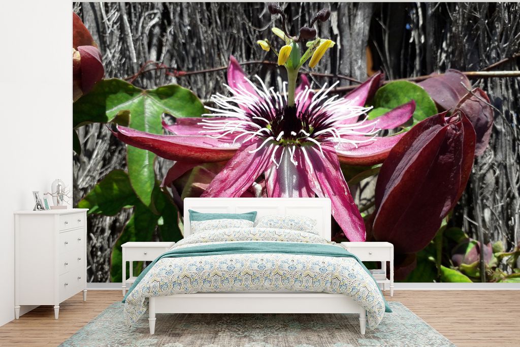 MuchoWow Fototapete für Wohnzimmer oder Schlafzimmer Wandtapete Vinyl Motivtapete Passionsblume wächst auf einem Baum - 375x280 cm - Schlafzimm...