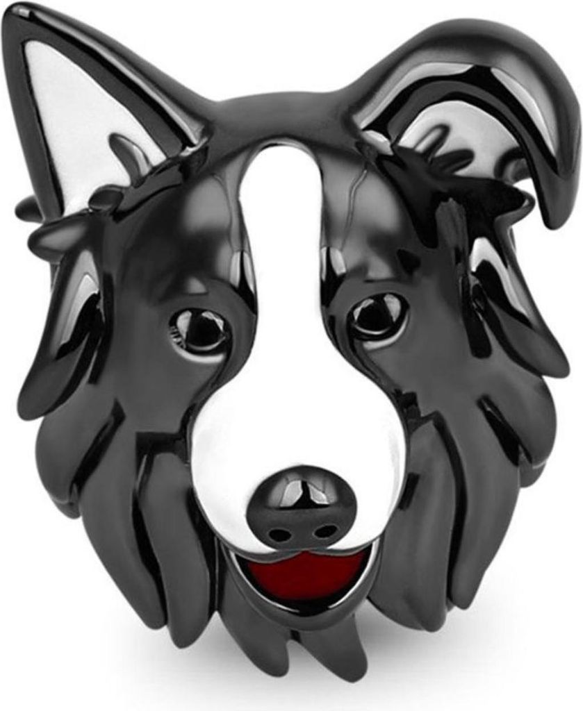 Gnoce Charm Border Collie EYC001