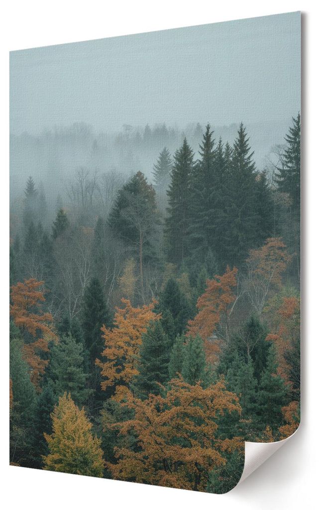 Nebelwald- Kunstdruck A1 (59x84 cm) - Klassisch, rustikal- Wandbild für Wohnzimmer Schlafzimmer & Flur, Modernes Poster Wanddeko, Ungerahmt