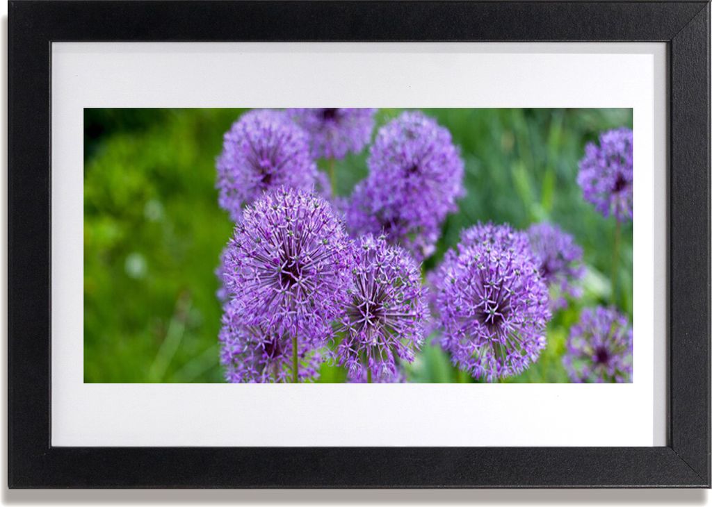 Bild 30x20 MDF-Rahmen Wandkunst Lila Wiesenblumen