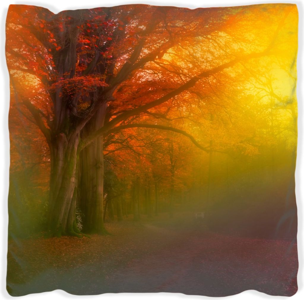 Wallario Premium Kissen, weiche Oberfläche, mit Motiv Bunter Herbst - Waldlandschaft bei Nebel in Regenbogenfarben, Größe: 30 x 30 cm, mit weiß...