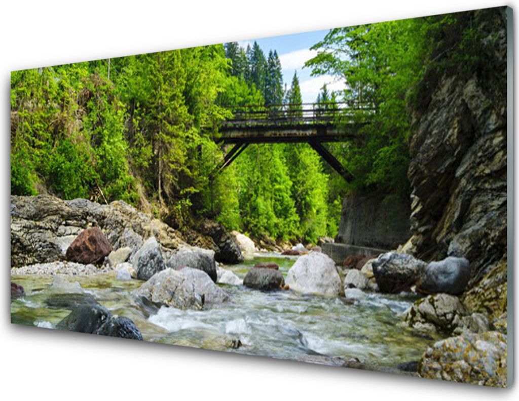 Küchenrückwand aus Glas 100x50cm Spritzschutz Wald Brücke See Landschaft