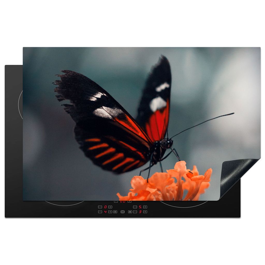 KitchenYeah Herdabdeckplatte Schmetterling - Blume - Insekt , 81x52cm, Küche Deko, Glaskeramikkochfeld Herdabdeckung, Abdeckplatte fùr Kochfeld