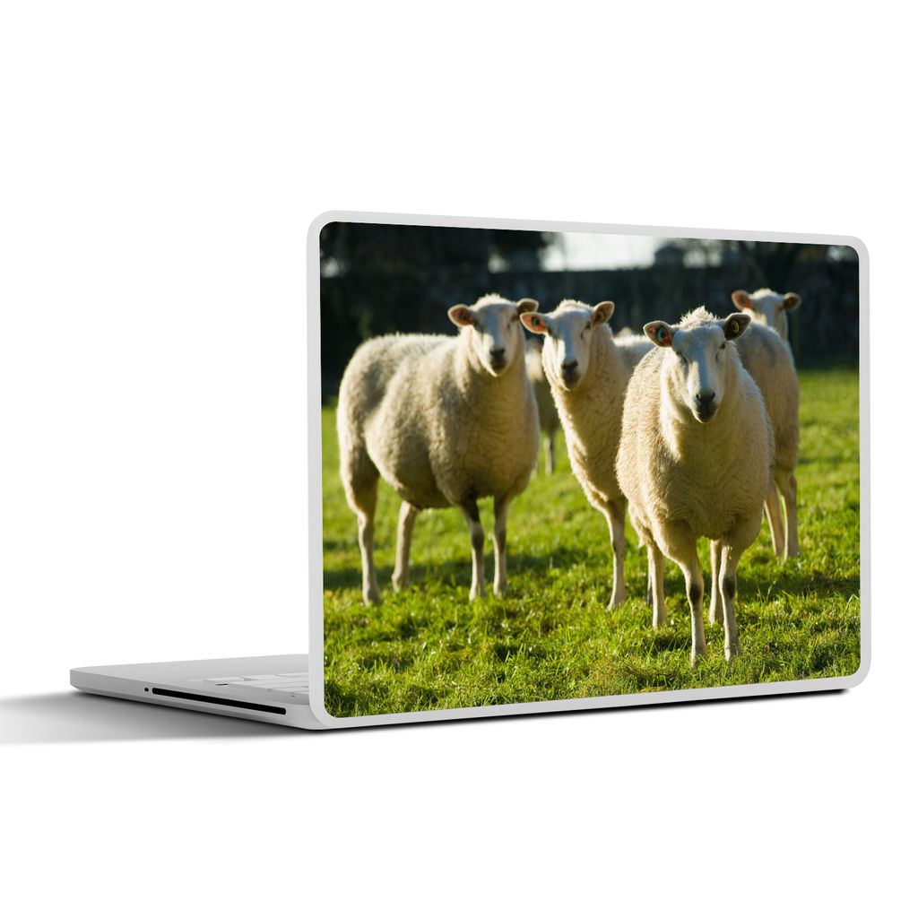 MuchoWow Laptop Aufkleber Sticker Cover Schafe - Tiere - Wolle 30x21 cm - Sticker für Laptop - Selbstklebend