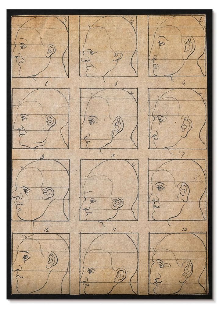 POSTER - 59x84 cm (A1) - Albrecht Dürer - Zwölf menschliche Profile in Umrissen - Zeichnung von Albert Dürer, ca. 1794 - Wandbild für Wohnzimme...