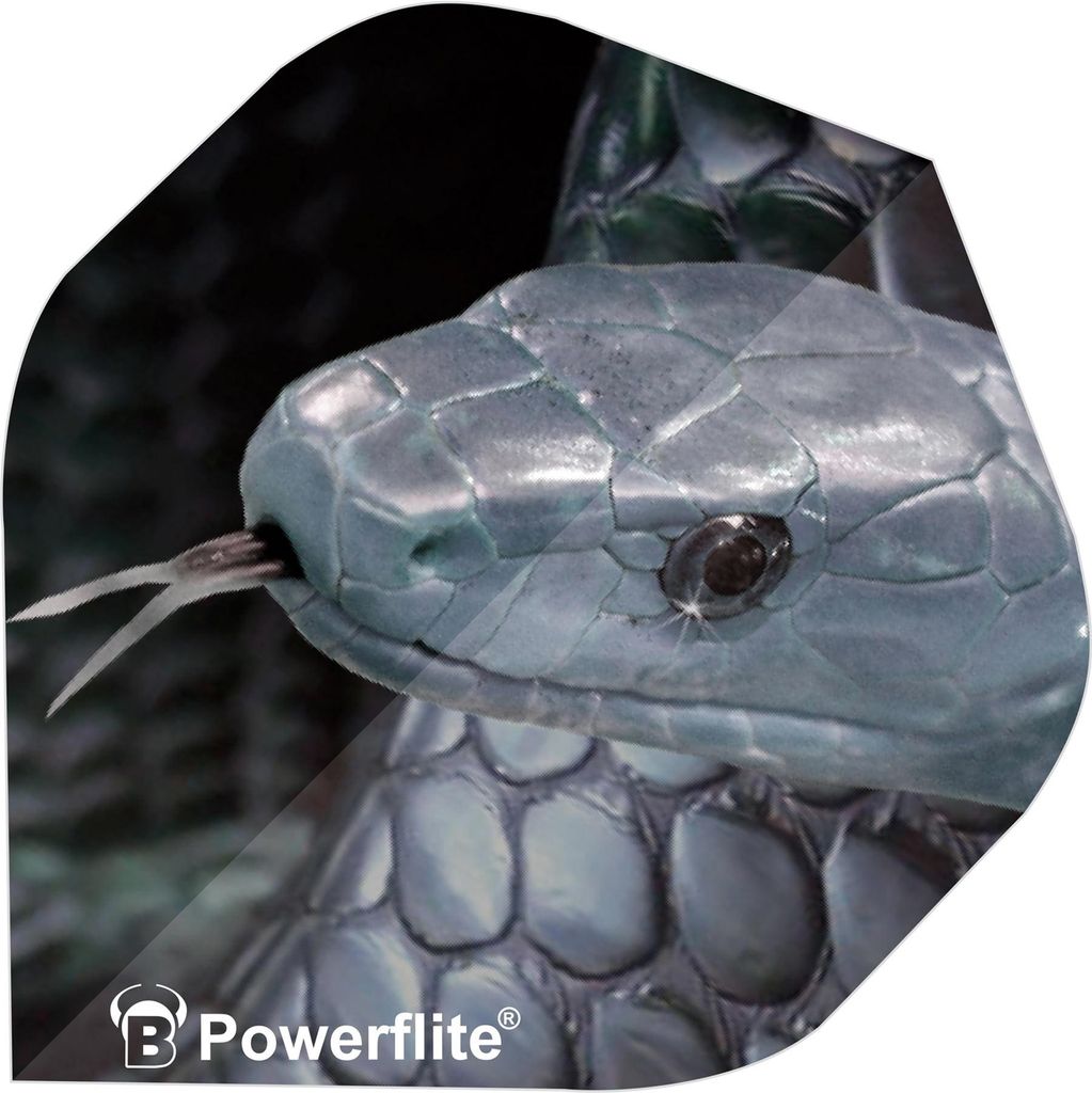 BULL'S Powerflite Standard A-Shape - A-Standard -- 1 Satz