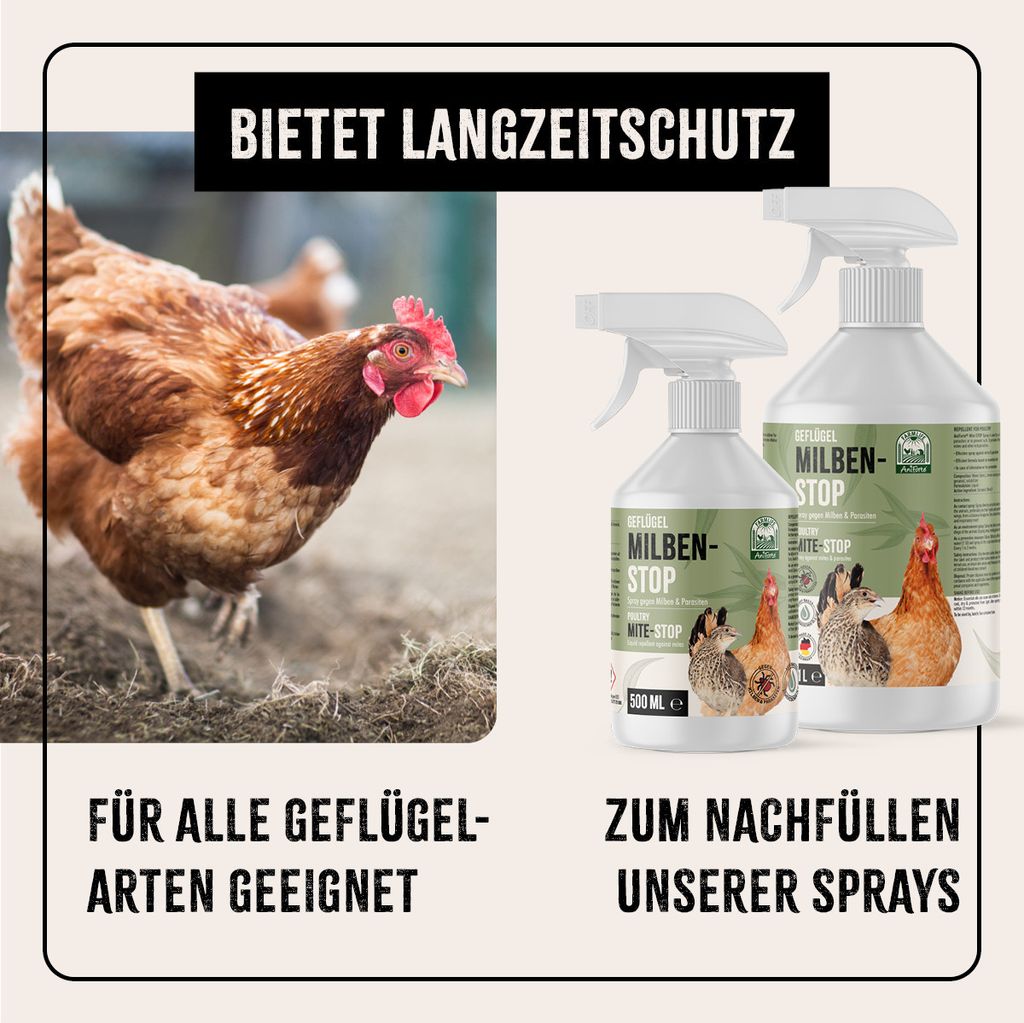 Apfelessig Gegen Milben Huhner