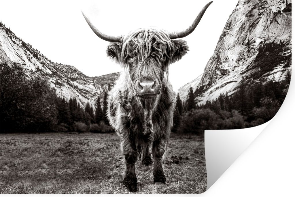 MuchoWow Wandtattoo Wandsticker Wandaufkleber Berg - Schwarz - Weiß - Schottischer Highlander 120x80 cm Selbstklebend und Repositionierbar - Sel...