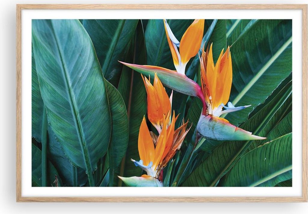 Gerahmtes Poster - Rahmen in heller Eiche - Himmlisch Vogel Blume - 91,5x61 cm - Wand Bild - Wanddeko - Wandbilder - Kunstposter - Wandposter - Bil...
