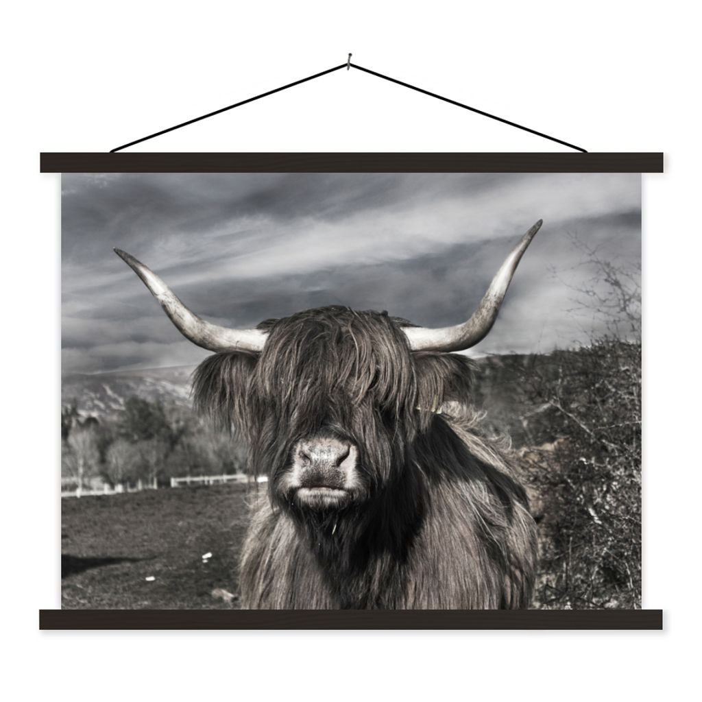 MuchoWow Textilposter Schottischer Highlander - Tiere - Hörner 150x113 cm mit holzfarbenen Rahmen - Poster