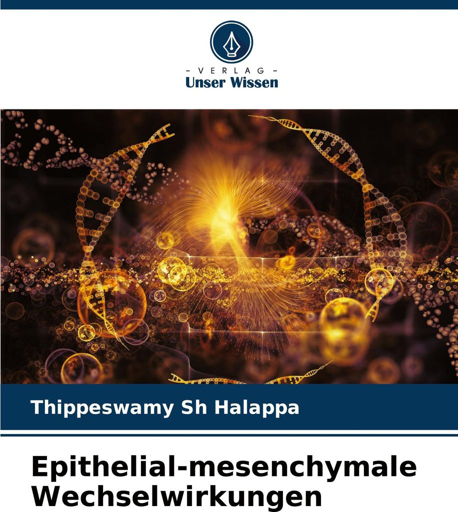 Epithelial-mesenchymale Wechselwirkungen