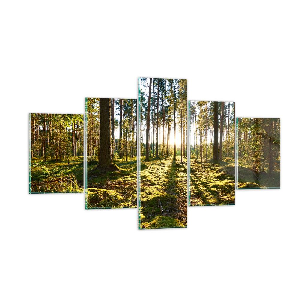 Bilder auf glas - Wald Baum Natur - 125x70cm - Glasbilder - Wandbilder - Kunstdruck - zum Aufhängen bereit - Wanddekoration aus Glas - Glas Bilder...