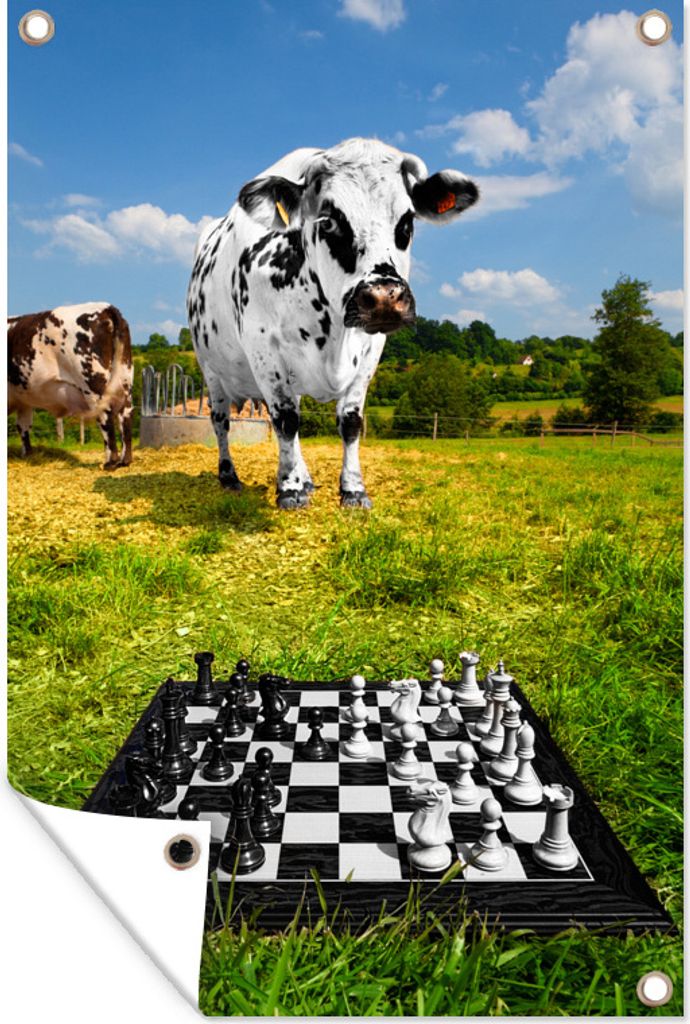 MuchoWow 40x60 cm Outdoor-Poster Gartendeko Sichtschutz Garten Poster für den Garten Eine Partie Schach auf der Wiese