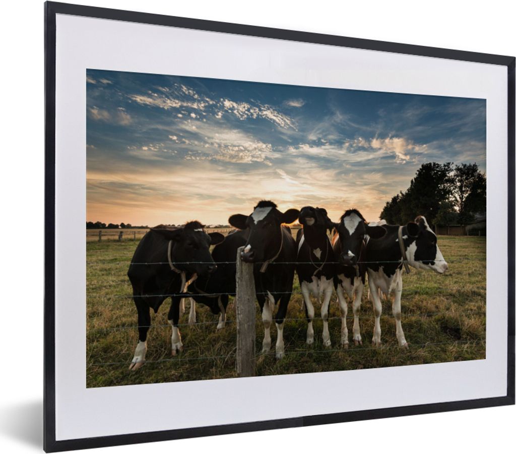 MuchoWow Gerahmtes Poster Tiere - Kuh 40x30 cm - Poster mit Schwarzem Bilderrahmen Wandposter Rahmen Foto Bilder - Bilderrahmen - Poster im Rahmen