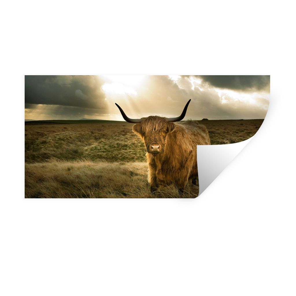 MuchoWow Wandtattoo Wandsticker Wandaufkleber Schottischer Hochländer - Sonne - Tiere 160x80 cm Selbstklebend und Repositionierbar - Sticker - D...
