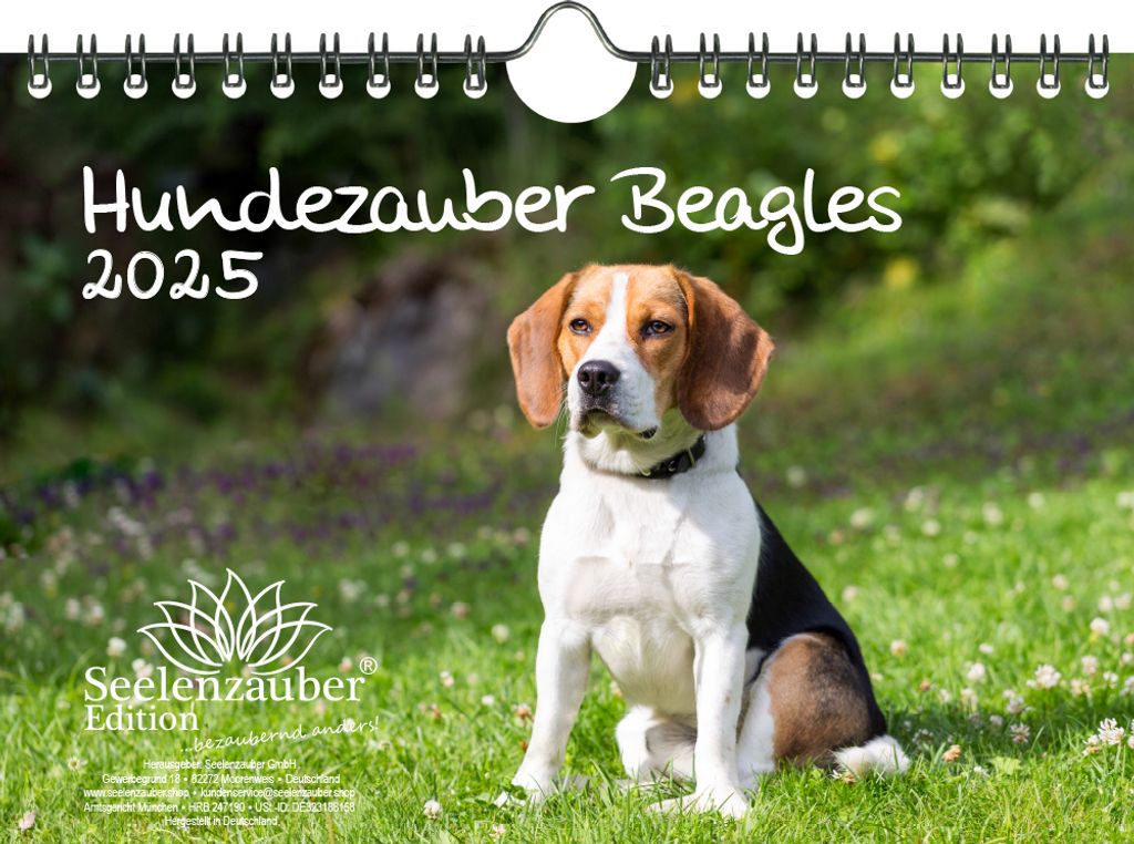 Hundezauber Beagles DIN A5 Kalender für 2025 Welpen und Hunde - Seelenzauber