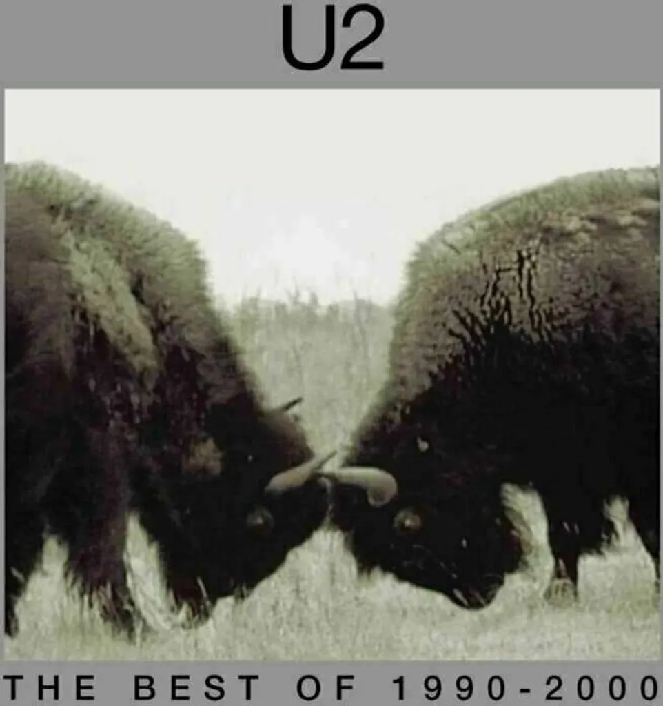 Vinyle U2 1990-2000 compilation sans craquement son masterisé original