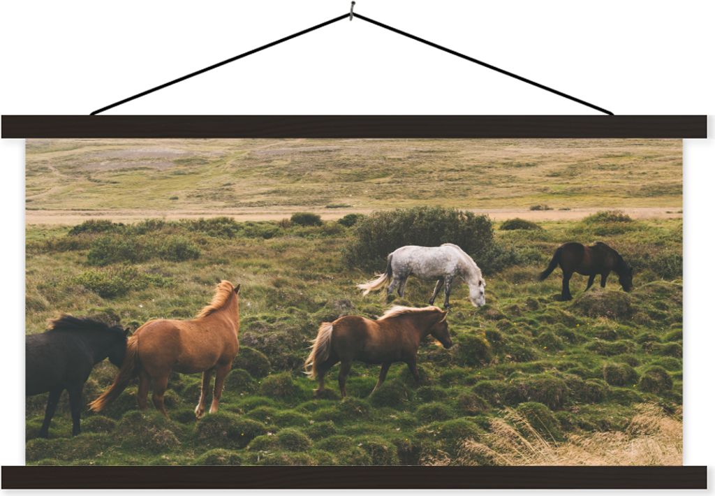 MuchoWow Textilposter Pferde - Gras - Island 90x45 cm mit schwarzem Rahmen - Klemmleisten