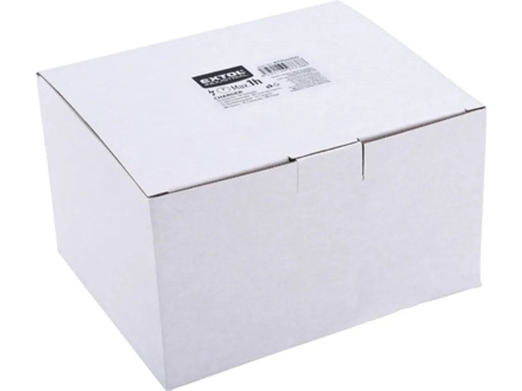 Solution Chargeur Extol 8795600D0 pour Ancienne Batterie 90 min