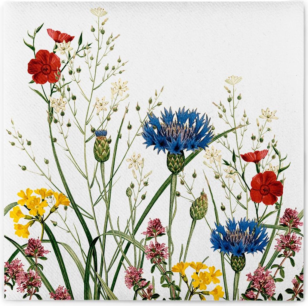 MANK Serviette Edith (Kornblume) aus Linclass® Airlaid, 40 Produktbild 