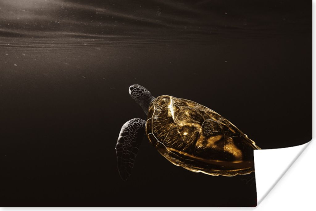 MuchoWow Poster Schildkröte - Schwarz - Gold 30x20 cm - Plakate - Print