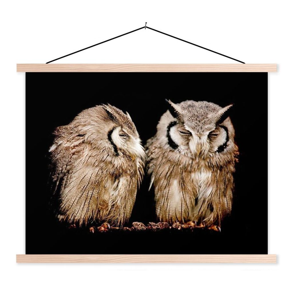 MuchoWow Textilposter Eule - Vogel - Schwarz 120x90 cm mit holzfarbenen Rahmen - Magnetisch
