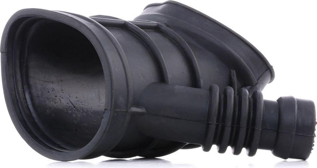 RIDEX 1591I0002 Ansaugschlauch Luftfilter für BMW 3 Limousine (E46)