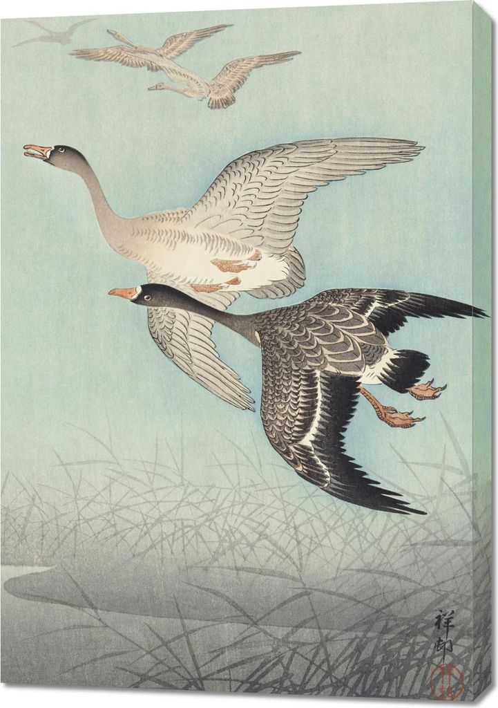 Bild 70x100cm Große Gänse im Flug, Japanischer Koson Vintage für das Wohnzimmer