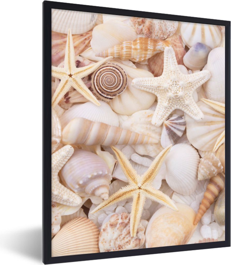 MuchoWow Gerahmtes Poster Seestern - Muscheln - Strand - Sommer 60x80 cm - Poster mit Schwarzem Bilderrahmen Wandposter Rahmen Foto Bilder - Prem...