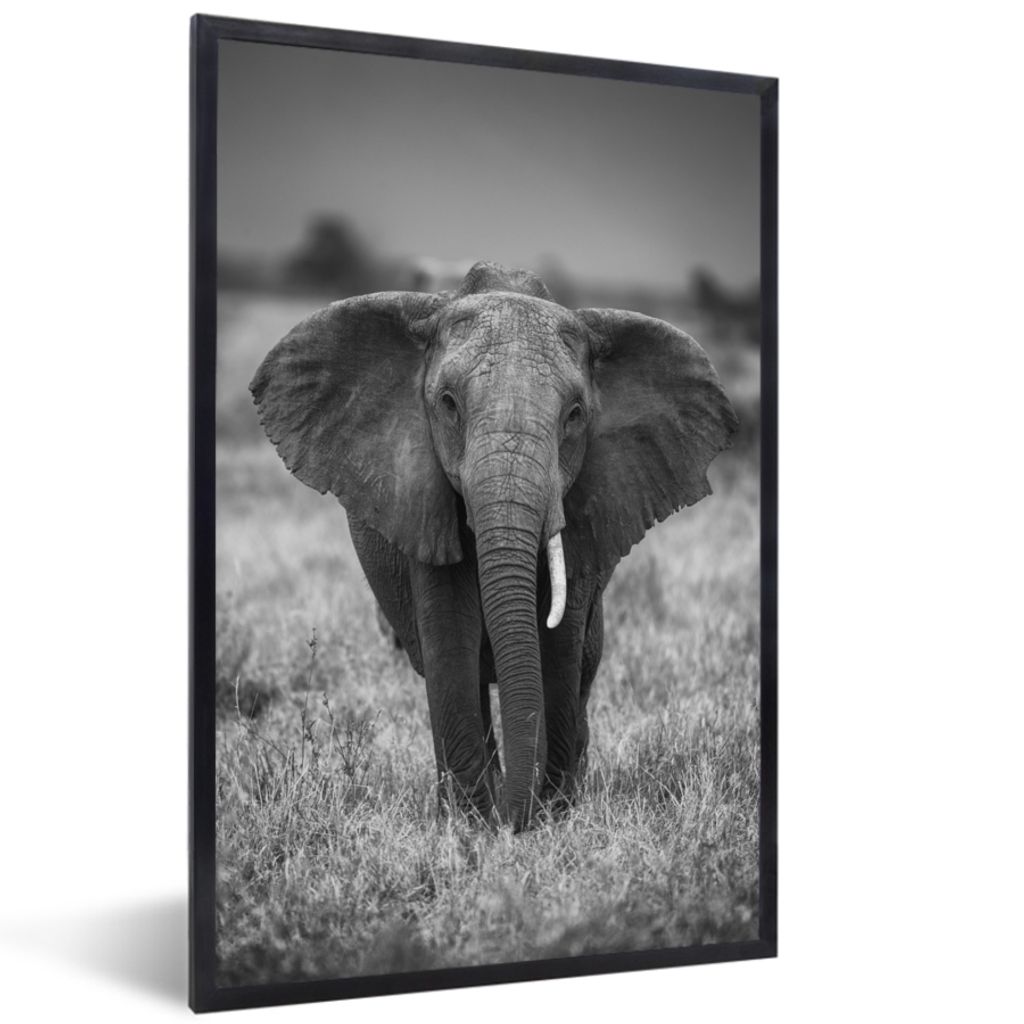 MuchoWow Gerahmtes Poster Elefant - Tiere - Safari - Wildtiere 20x30 cm - Poster mit Schwarzem Bilderrahmen Wandposter Rahmen Foto Bilder - Druck...