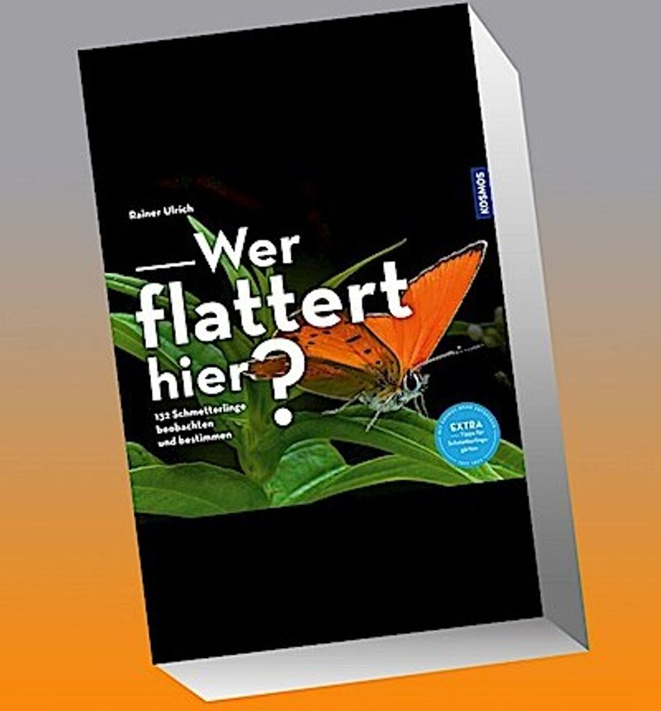 Wer flattert hier