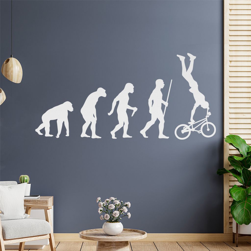 BMX Freestyle Evolution Wandtattoo Wandaufkleber Wall Sticker - Dekoration, Küche, Wohnzimmer, Schlafzimmer, Badezimmer