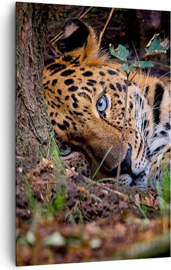 Bild auf Leinwand - Leinwandbild - Einteilig - Leopard Porträt Jaguar - 80x120cm - Wand Bild - Wanddeko - Wandbilder - Leinwanddruck - Wanddekorat...