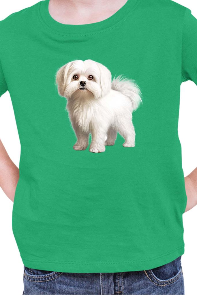 Kinder T-Shirt Dogs Breeds Maltese Dog Breed 005, 5-6 Jahr - 116 / Grün