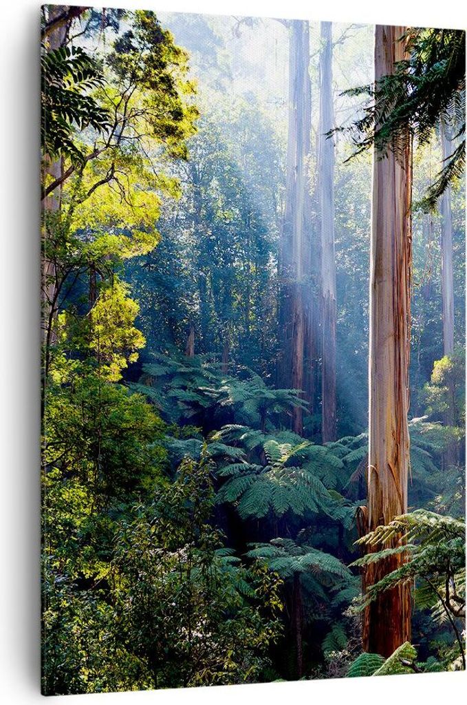 Bild auf Leinwand - Leinwandbild - Einteilig - Morgendämmerung Bäume Wald - 70x100cm - Wand Bild - Wanddeko - Wandbilder - Leinwanddruck - Wandde...