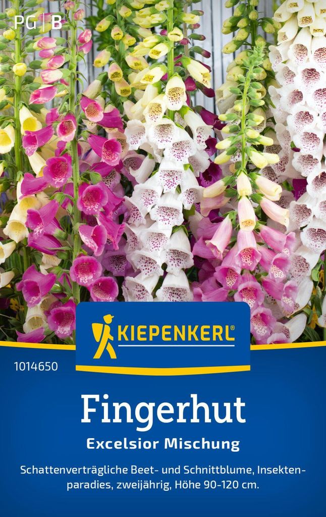 Kiepenkerl Fingerhutsamen Excelsior Digitalis purpurea 250 Produktbild 