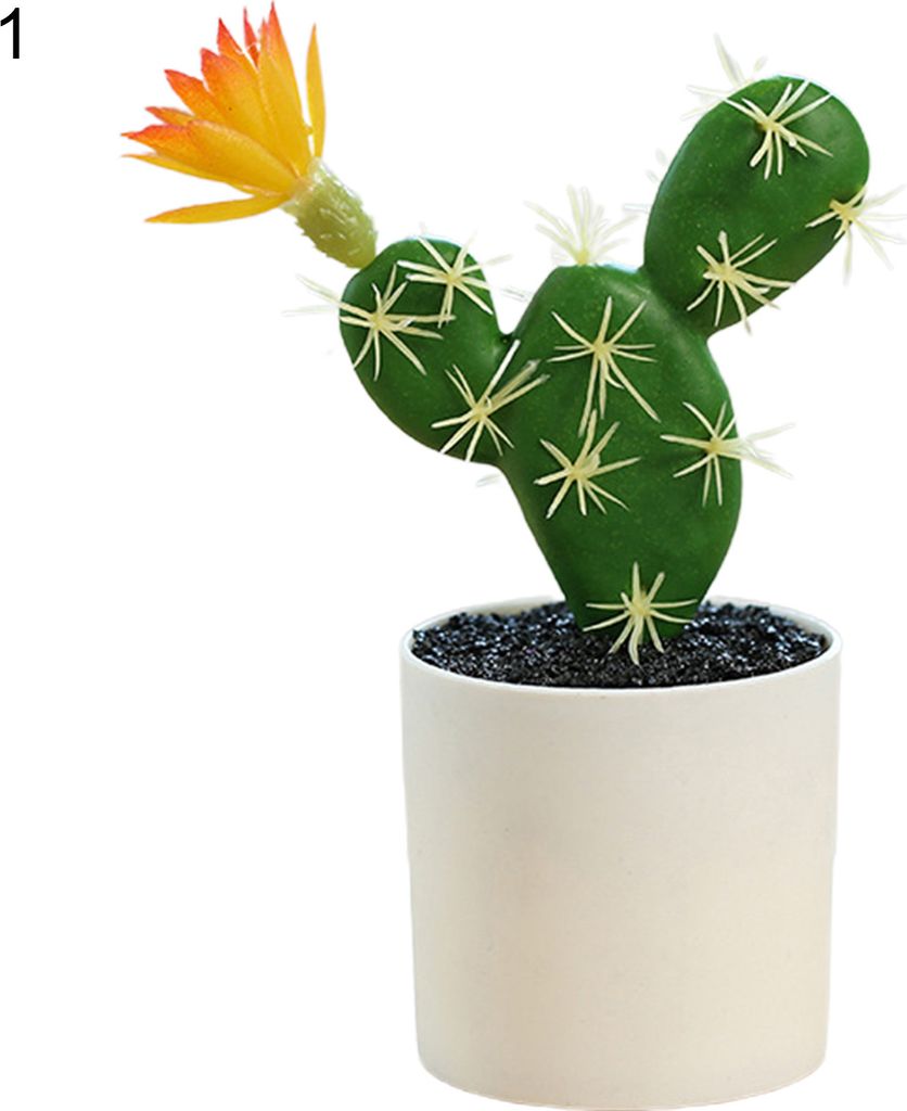 Mini Bonsai Nicht verblassende Landschaftsgestaltung Kunststoffsimulation Sukkulente Pflanzen Tischdekoration-1