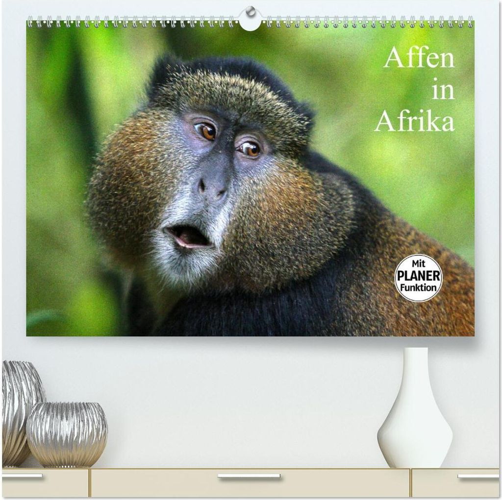 Affen in Afrika (hochwertiger Premium Wandkalender 2026 DIN A2 quer), Kunstdruck in Hochglanz