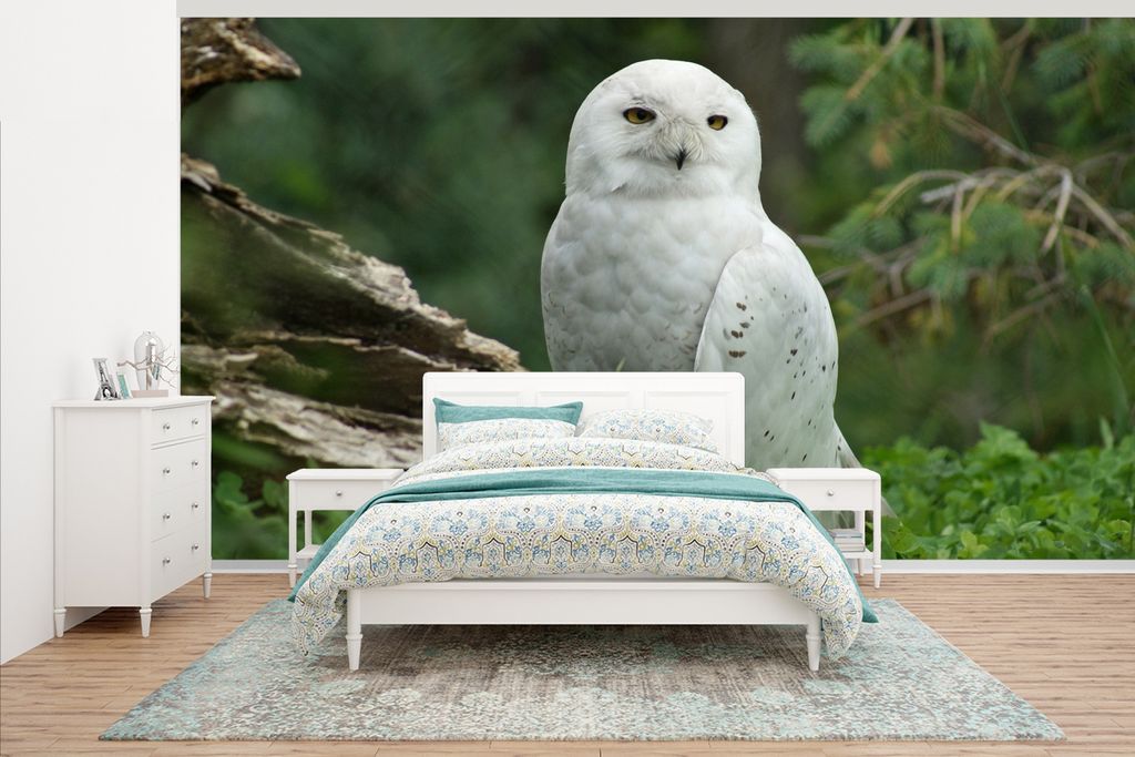 MuchoWow Fototapete für Wohnzimmer oder Schlafzimmer Wandtapete Vinyl Motivtapete Schneeeule im Wald - 535x300 cm - Wanddekoration