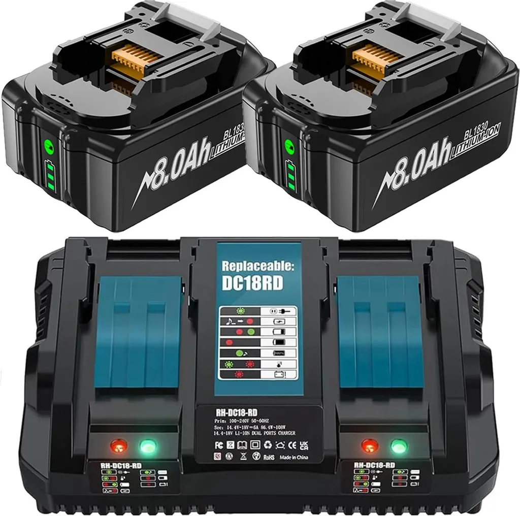 Batterie rechargeable 8000 mAh avec chargeur rapide 2x8,0 Ah 6 A