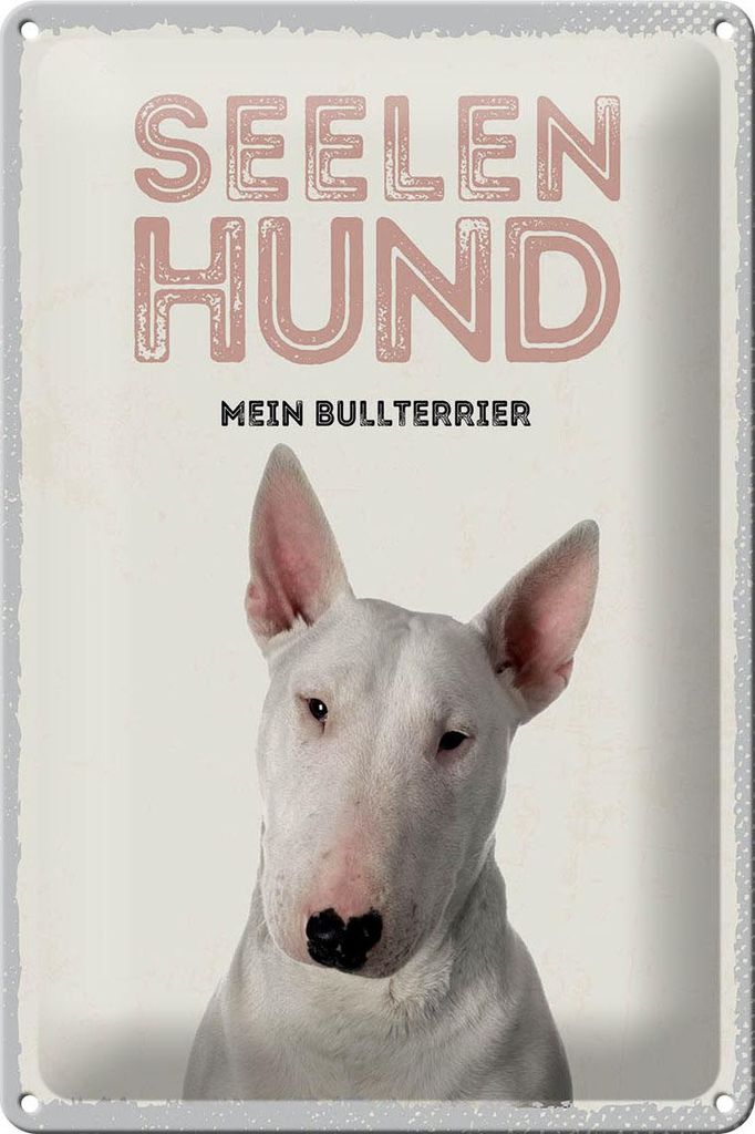 Blechschild 20x30cm Seelen Hund mein Bullterrier Produktbild 